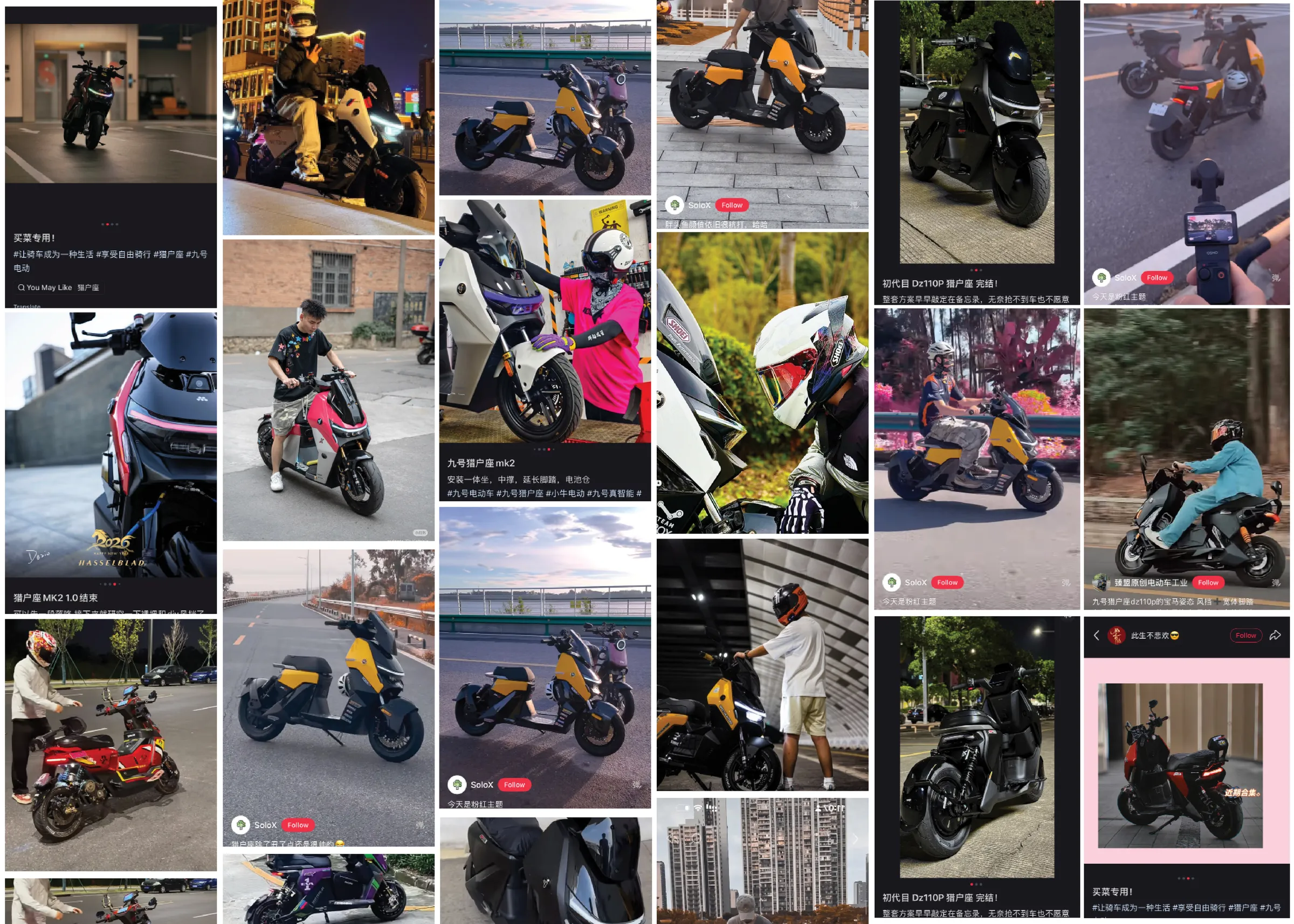 Owner photos shared on social media